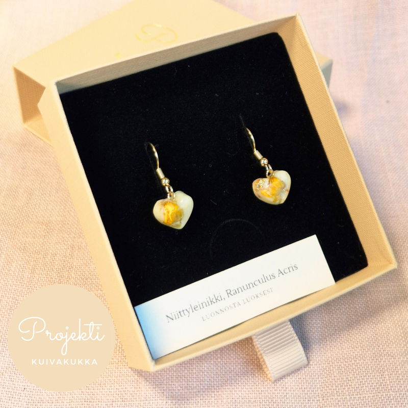 Niittyleinikki-syd&auml;n, pieni,&nbsp; 18k kullattu kirurginter&auml;s