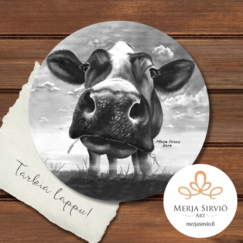 Kaunokki-j&auml;&auml;kaappimagneetti, koivuvaneri