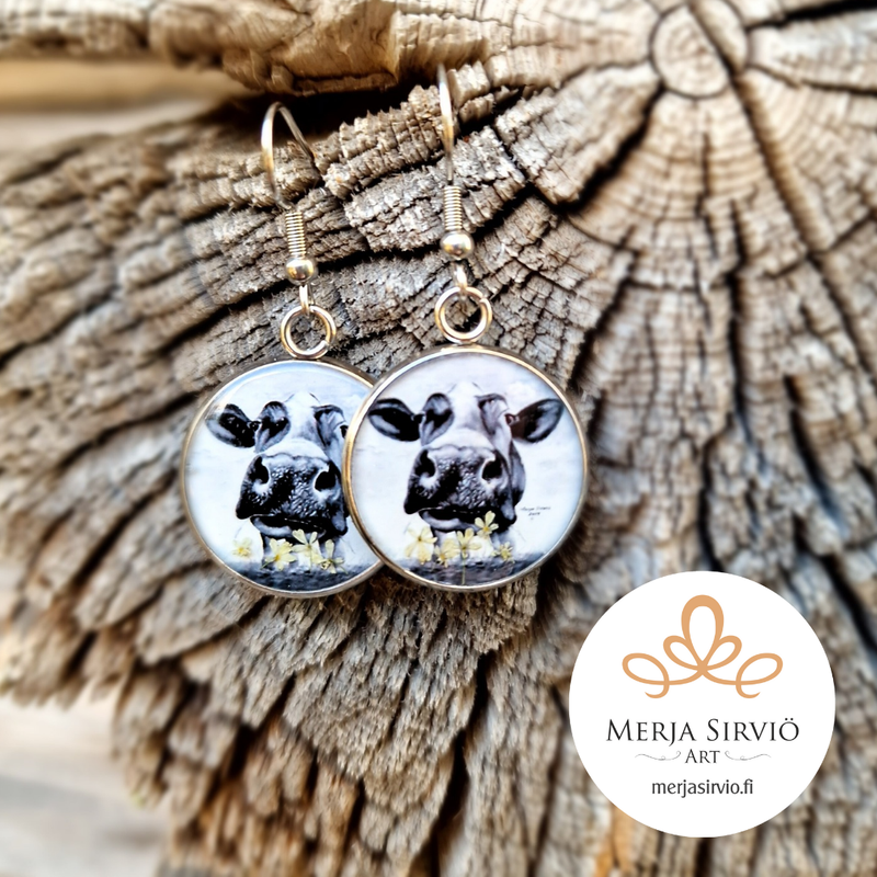 Kaunokki-korvakorut, kirurginter&auml;s